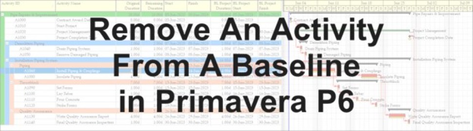 حذف یک فعالیت از Baseline در نرم‌افزار Primavera P6