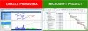 انتقال فعالیت‌های پشتیبان (LOE) از Primavera به MSP
