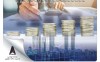 راهنمای گام‌به‌گام متخصص‌شدن در حرفه مدیریت مالی و هزینه