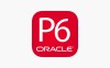 قابلیت به‌روزرسانی خودکار در Primavera P6