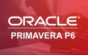 استفاده از فعالیت‌های‌ پشتیبان (LOE) در Primavera P6
