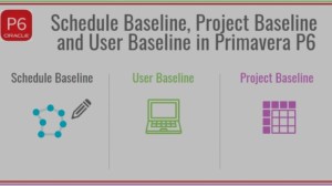 ایجاد Baseline (خط مبنا) در نرم‌افزار Primavera P6