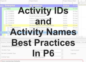 بهترین روش نام‌گذاری و تعیین شناسه‌ (ID) فعالیت‌ها در Primavera P6