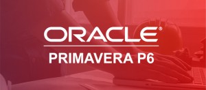 استفاده از فعالیت‌های‌ پشتیبان (LOE) در Primavera P6